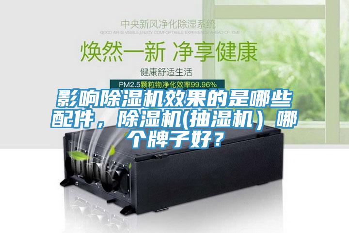 影響除濕機效果的是哪些配件，除濕機(抽濕機）哪個牌子好？