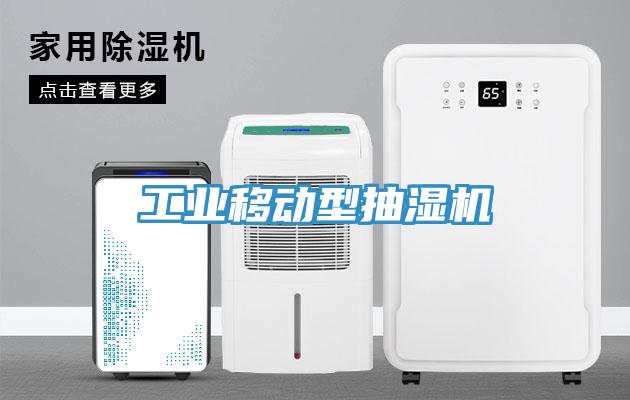 工業(yè)移動型抽濕機(jī)