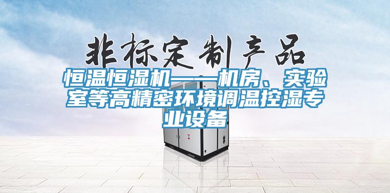 恒溫恒濕機——機房、實驗室等高精密環(huán)境調溫控濕專業(yè)設備