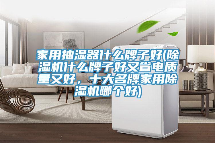 家用抽濕器什么牌子好(除濕機什么牌子好又省電質(zhì)量又好，十大名牌家用除濕機哪個好)