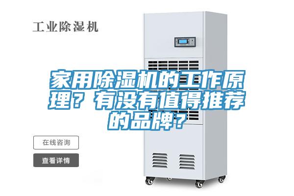 家用除濕機的工作原理？有沒有值得推薦的品牌？