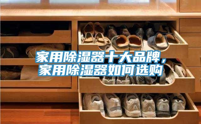 家用除濕器十大品牌，家用除濕器如何選購(gòu)