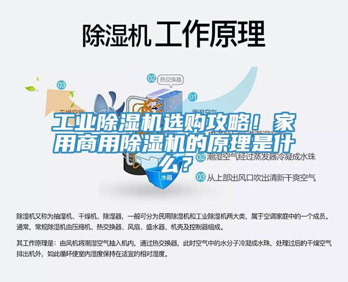 工業(yè)除濕機選購攻略！家用商用除濕機的原理是什么？