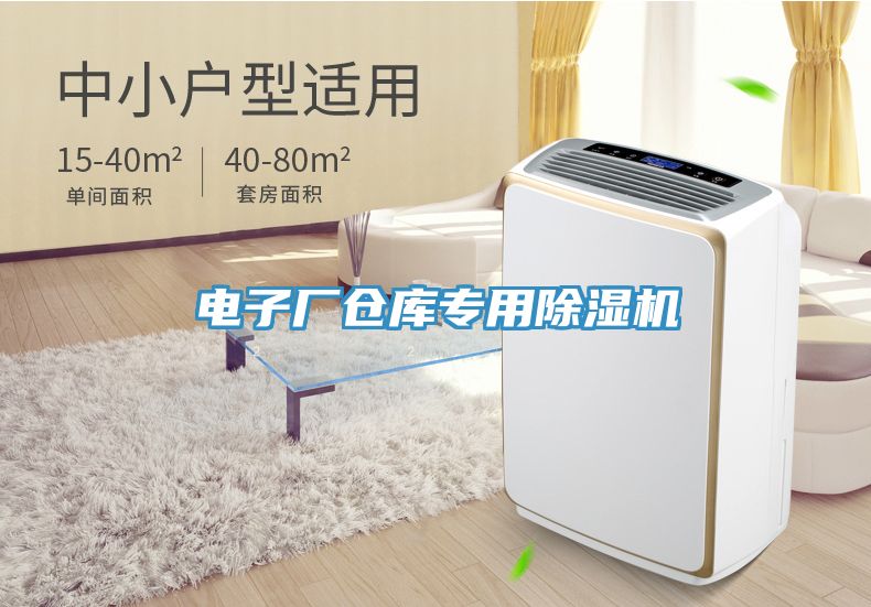 電子廠倉庫專用除濕機(jī)