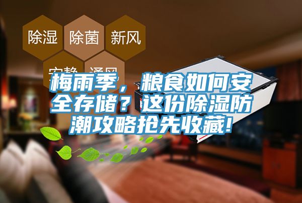 梅雨季，糧食如何安全存儲(chǔ)？這份除濕防潮攻略搶先收藏!