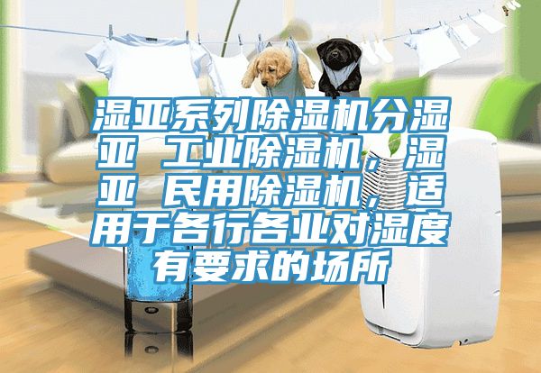 濕亞系列除濕機(jī)分濕亞 工業(yè)除濕機(jī)，濕亞 民用除濕機(jī)，適用于各行各業(yè)對(duì)濕度有要求的場(chǎng)所