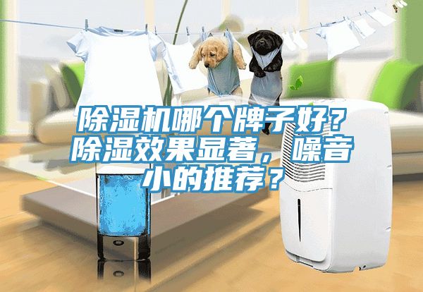 除濕機哪個牌子好？除濕效果顯著，噪音小的推薦？