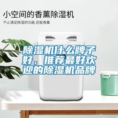 除濕機(jī)什么牌子好，推薦最好歡迎的除濕機(jī)品牌