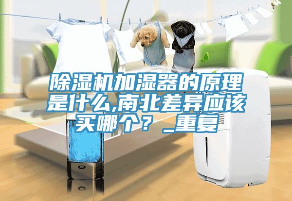 除濕機加濕器的原理是什么,南北差異應該買哪個？_重復