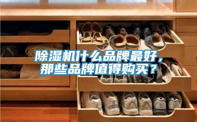 除濕機什么品牌最好，那些品牌值得購買？