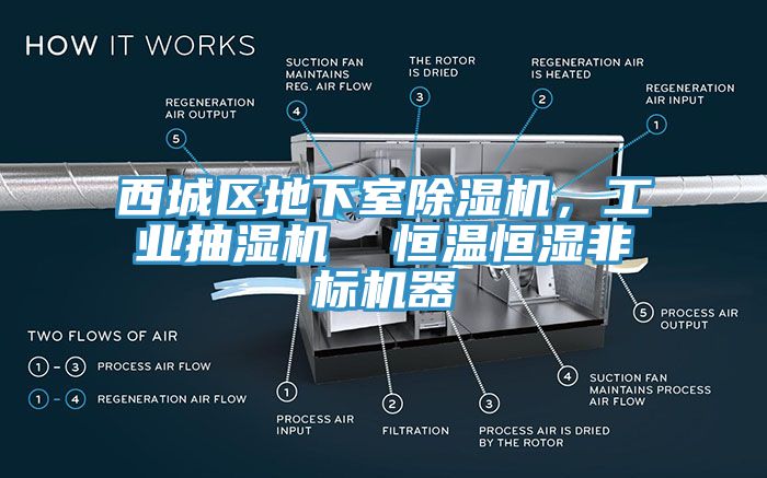 西城區(qū)地下室除濕機，工業(yè)抽濕機  恒溫恒濕非標機器