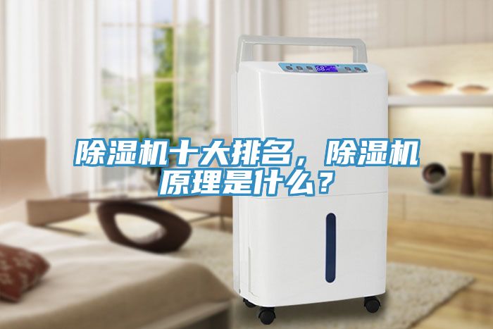 除濕機十大排名，除濕機原理是什么？