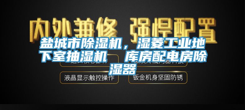 鹽城市除濕機(jī)，濕菱工業(yè)地下室抽濕機(jī)  庫房配電房除濕器