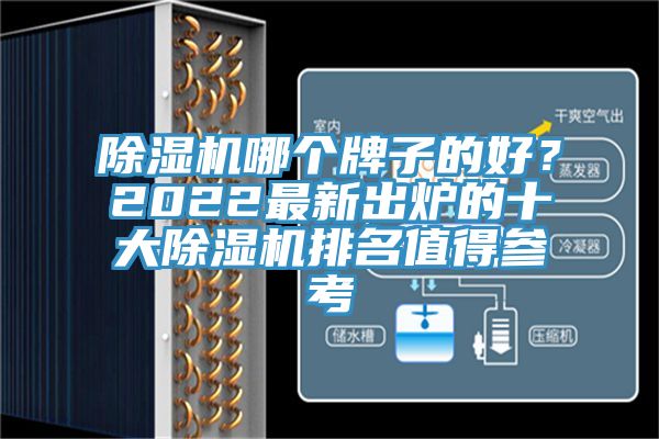 除濕機哪個牌子的好？2022最新出爐的十大除濕機排名值得參考