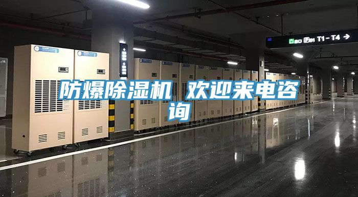 防爆除濕機(jī) 歡迎來電咨詢