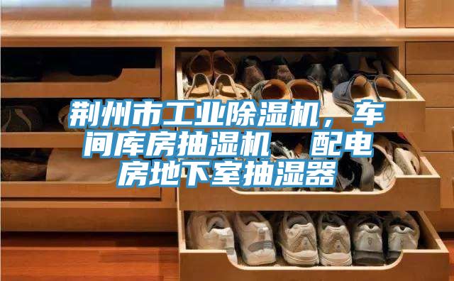 荊州市工業(yè)除濕機，車間庫房抽濕機  配電房地下室抽濕器