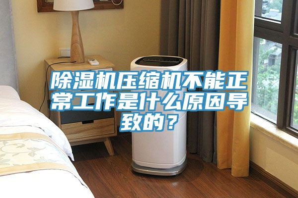 除濕機壓縮機不能正常工作是什么原因?qū)е碌模?/></p>
                            <p style=