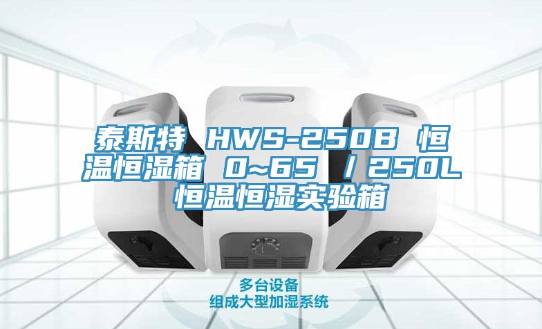 泰斯特 HWS-250B 恒溫恒濕箱 0~65℃／250L 恒溫恒濕實(shí)驗(yàn)箱