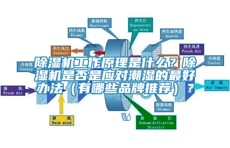 除濕機(jī)工作原理是什么？除濕機(jī)是否是應(yīng)對(duì)潮濕的最好辦法（有哪些品牌推薦）？