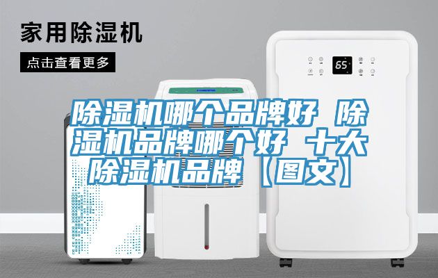 除濕機哪個品牌好 除濕機品牌哪個好 十大除濕機品牌【圖文】