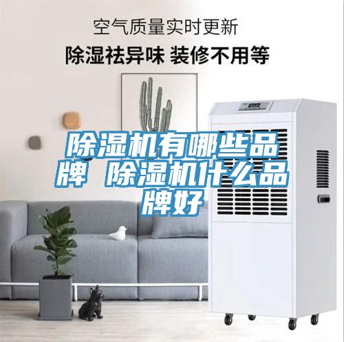 除濕機(jī)有哪些品牌 除濕機(jī)什么品牌好