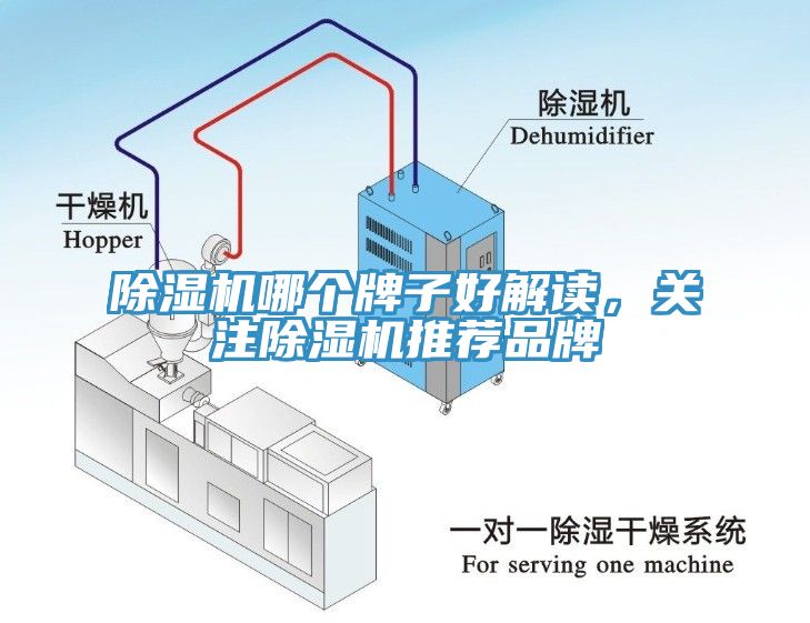 除濕機哪個牌子好解讀，關注除濕機推薦品牌