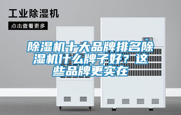 除濕機十大品牌排名除濕機什么牌子好？這些品牌更實在