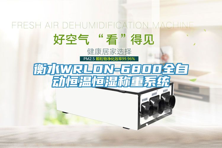 衡水WRLDN-6800全自動(dòng)恒溫恒濕稱重系統(tǒng)