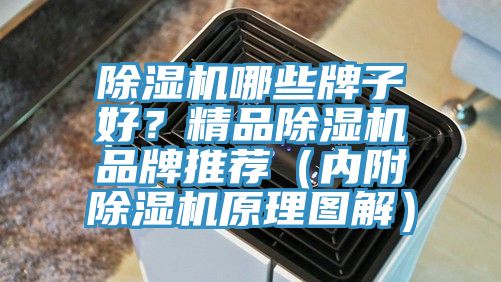 除濕機哪些牌子好？精品除濕機品牌推薦（內(nèi)附除濕機原理圖解）