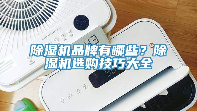 除濕機(jī)品牌有哪些？除濕機(jī)選購技巧大全