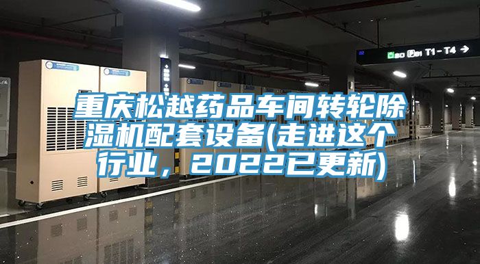 重慶松越藥品車間轉輪除濕機配套設備(走進這個行業(yè)，2022已更新)