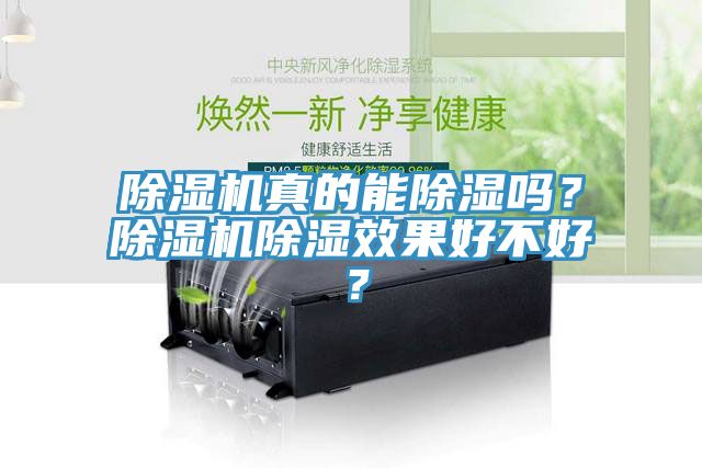 除濕機真的能除濕嗎？除濕機除濕效果好不好？