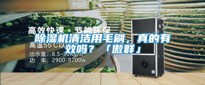 除濕機(jī)清潔用毛刷，真的有效嗎？「傲群」