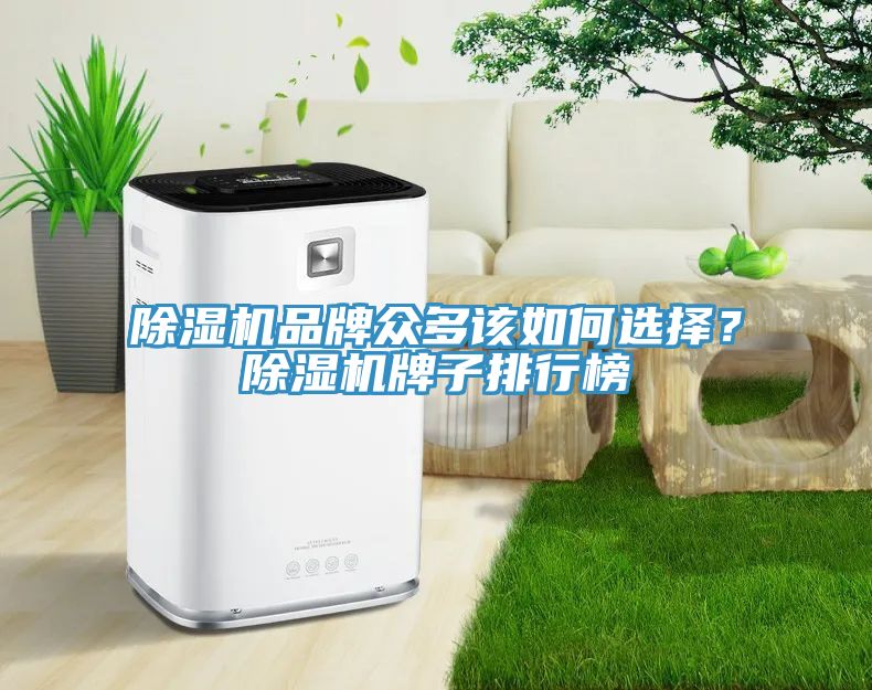 除濕機品牌眾多該如何選擇？除濕機牌子排行榜