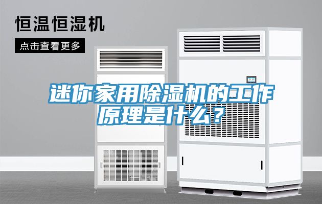 迷你家用除濕機的工作原理是什么？