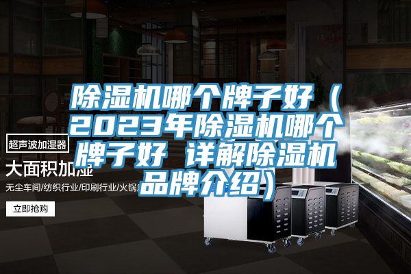 除濕機哪個牌子好（2023年除濕機哪個牌子好 詳解除濕機品牌介紹）