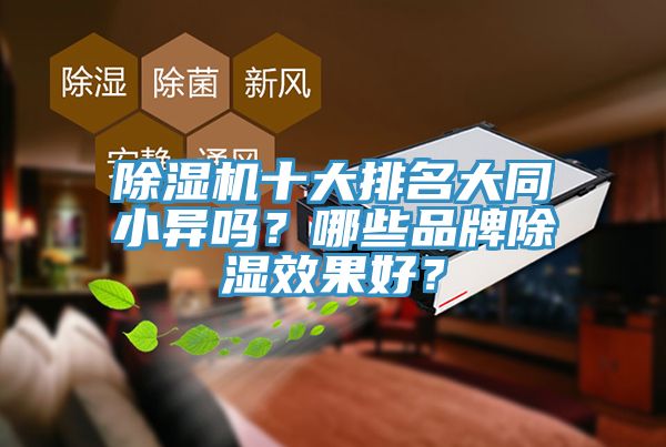 除濕機十大排名大同小異嗎？哪些品牌除濕效果好？