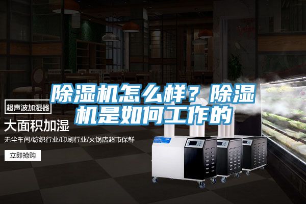 除濕機怎么樣？除濕機是如何工作的