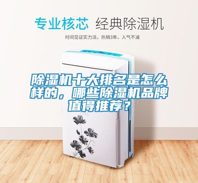 除濕機十大排名是怎么樣的，哪些除濕機品牌值得推薦？