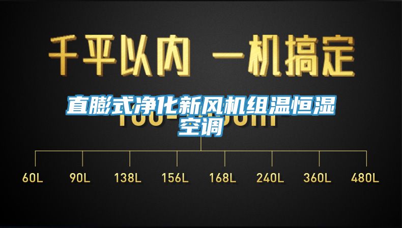 直膨式凈化新風機組溫恒濕空調