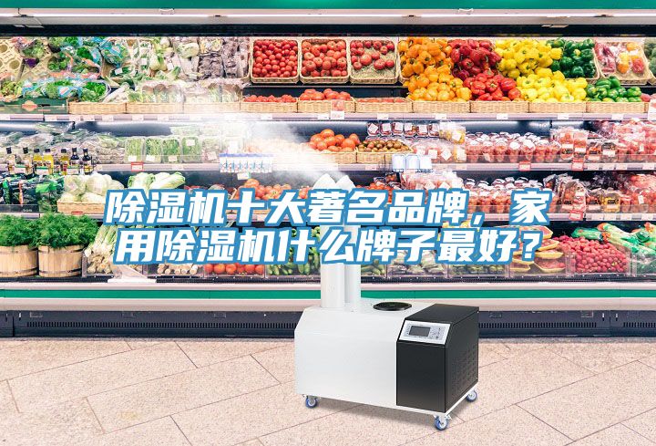 除濕機十大著名品牌，家用除濕機什么牌子最好？