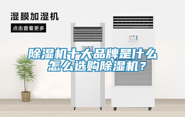 除濕機十大品牌是什么 怎么選購除濕機？