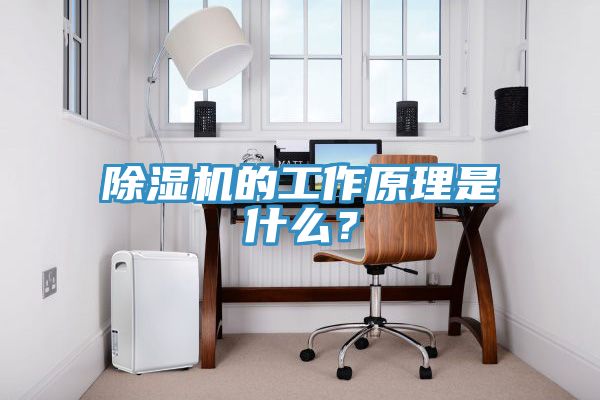 除濕機的工作原理是什么？