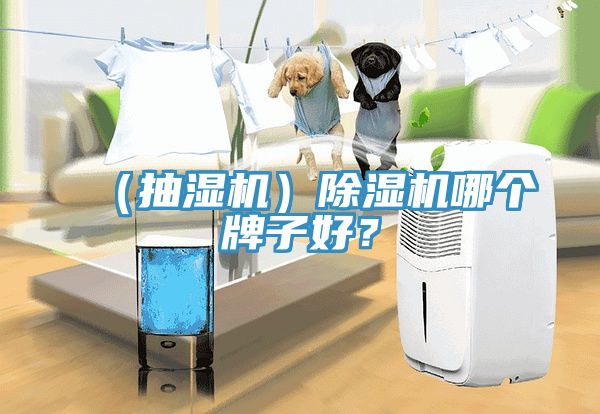 （抽濕機）除濕機哪個牌子好？