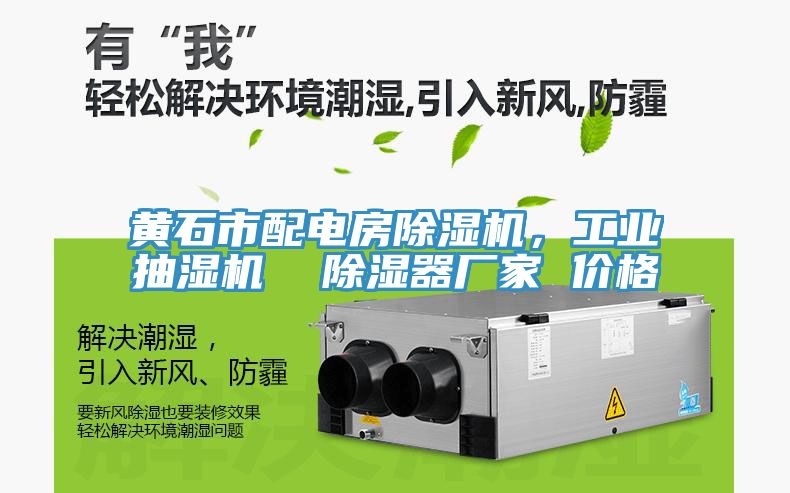 黃石市配電房除濕機，工業(yè)抽濕機  除濕器廠家 價格