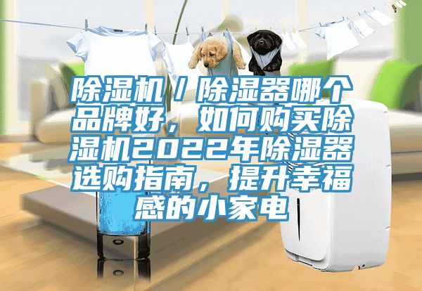 除濕機／除濕器哪個品牌好，如何購買除濕機2022年除濕器選購指南，提升幸福感的小家電