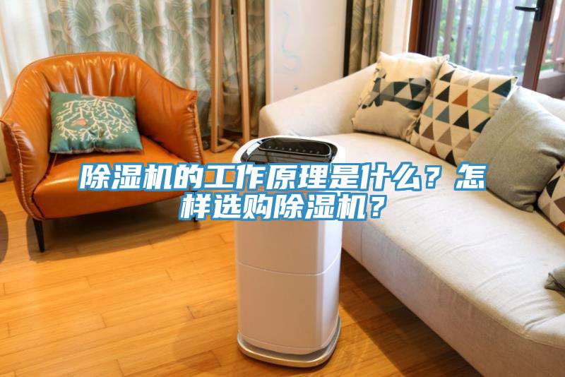 除濕機的工作原理是什么？怎樣選購除濕機？